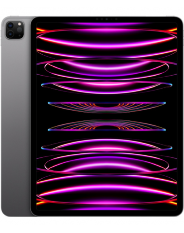 Apple iPad Pro 12,9 Zoll 6. Generation (2022, M2, Wi-Fi, 512 GB) - Space Grau